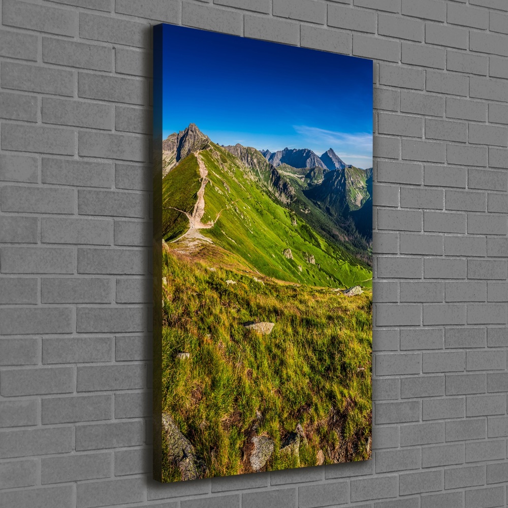 Tableau photo sur toile Montagnes des Tatras