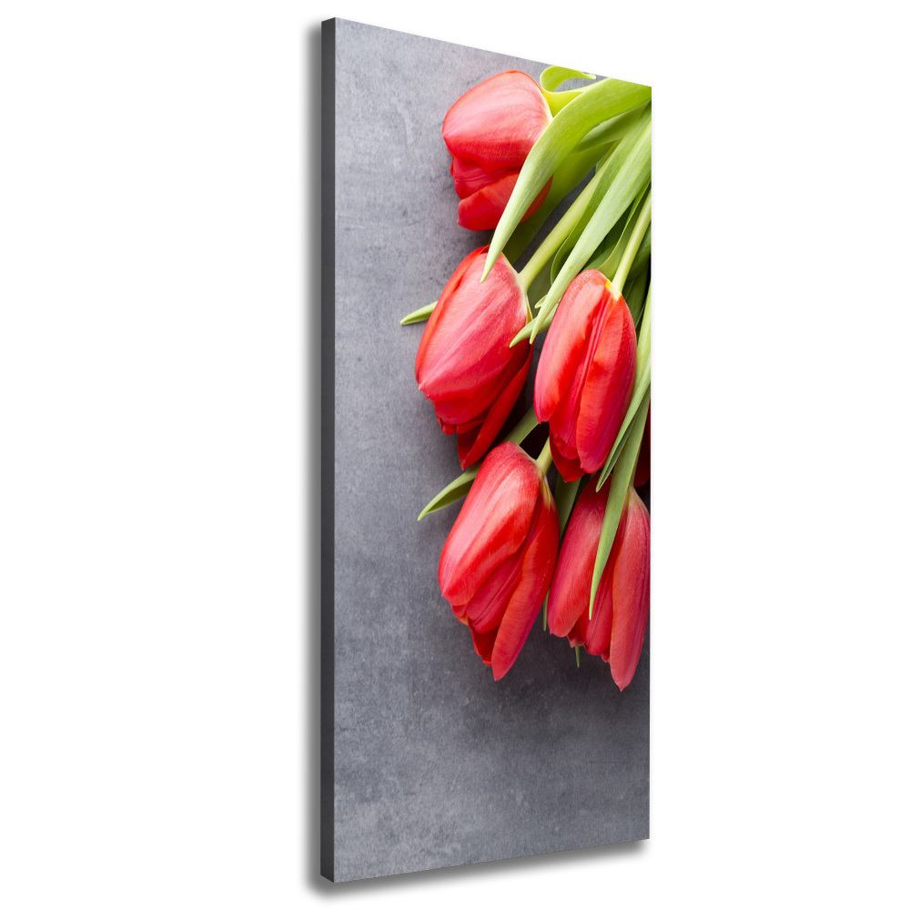 Tableau imprimé sur toile Tulipes rouges