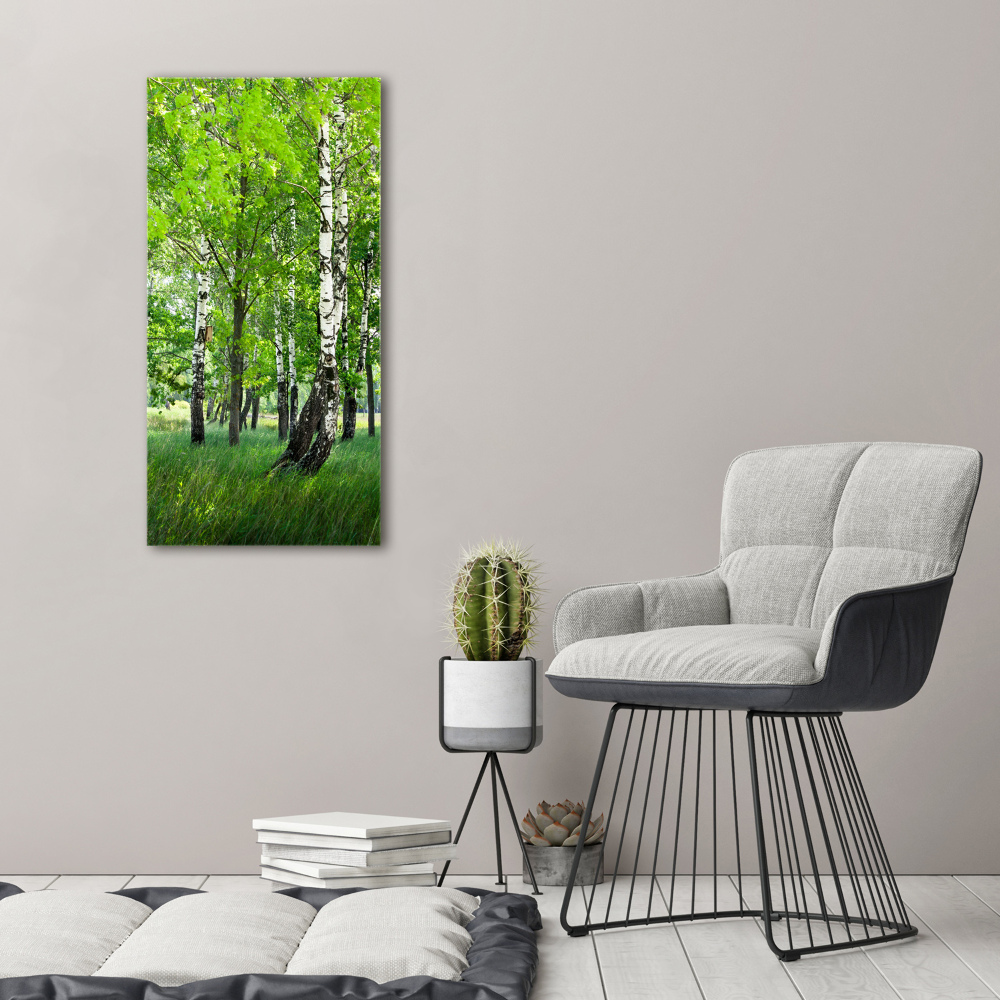 Tableau photo sur toile Les forêts de bouleaux