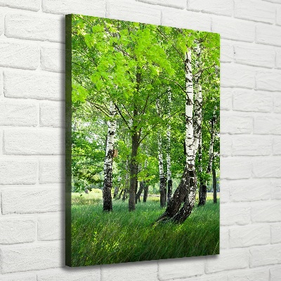 Tableau photo sur toile Les forêts de bouleaux