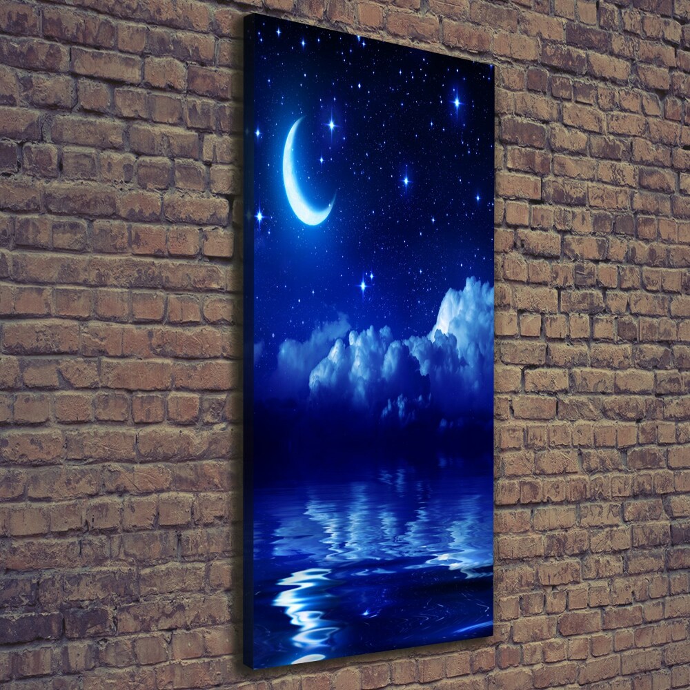 Tableau photo sur toile Ciel nocturne