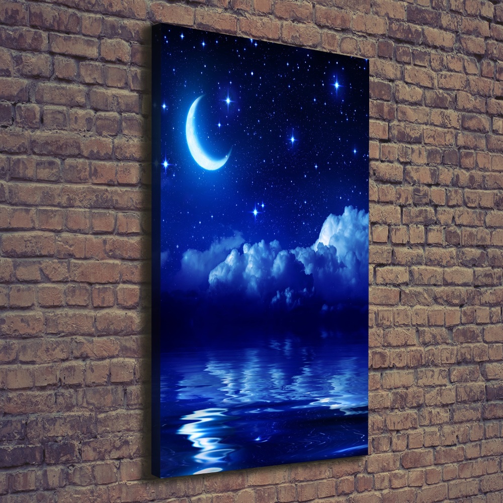 Tableau photo sur toile Ciel nocturne