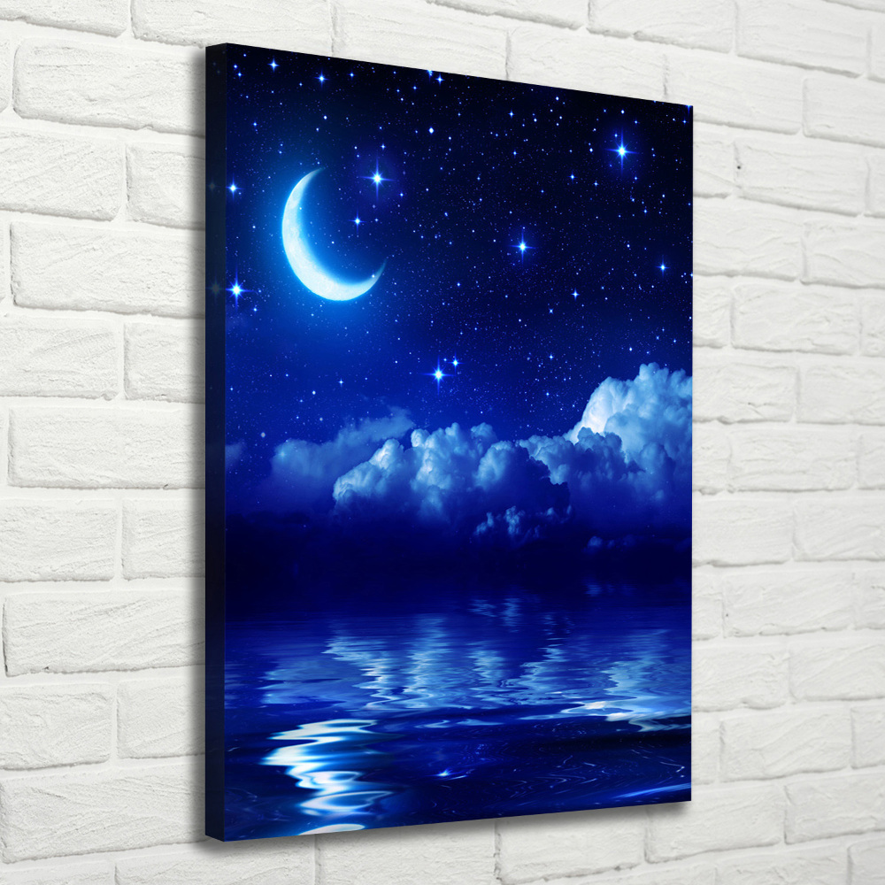 Tableau photo sur toile Ciel nocturne