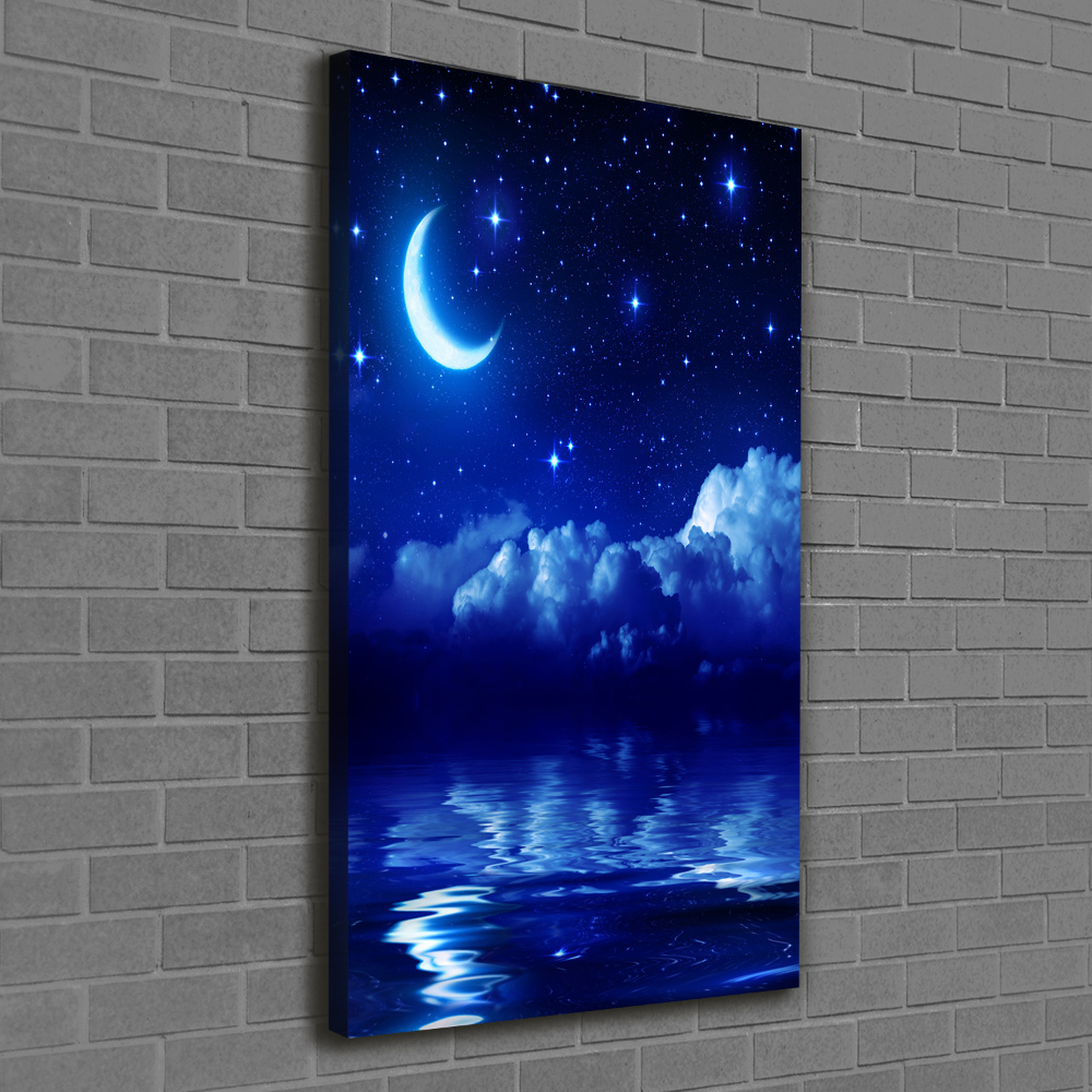 Tableau photo sur toile Ciel nocturne