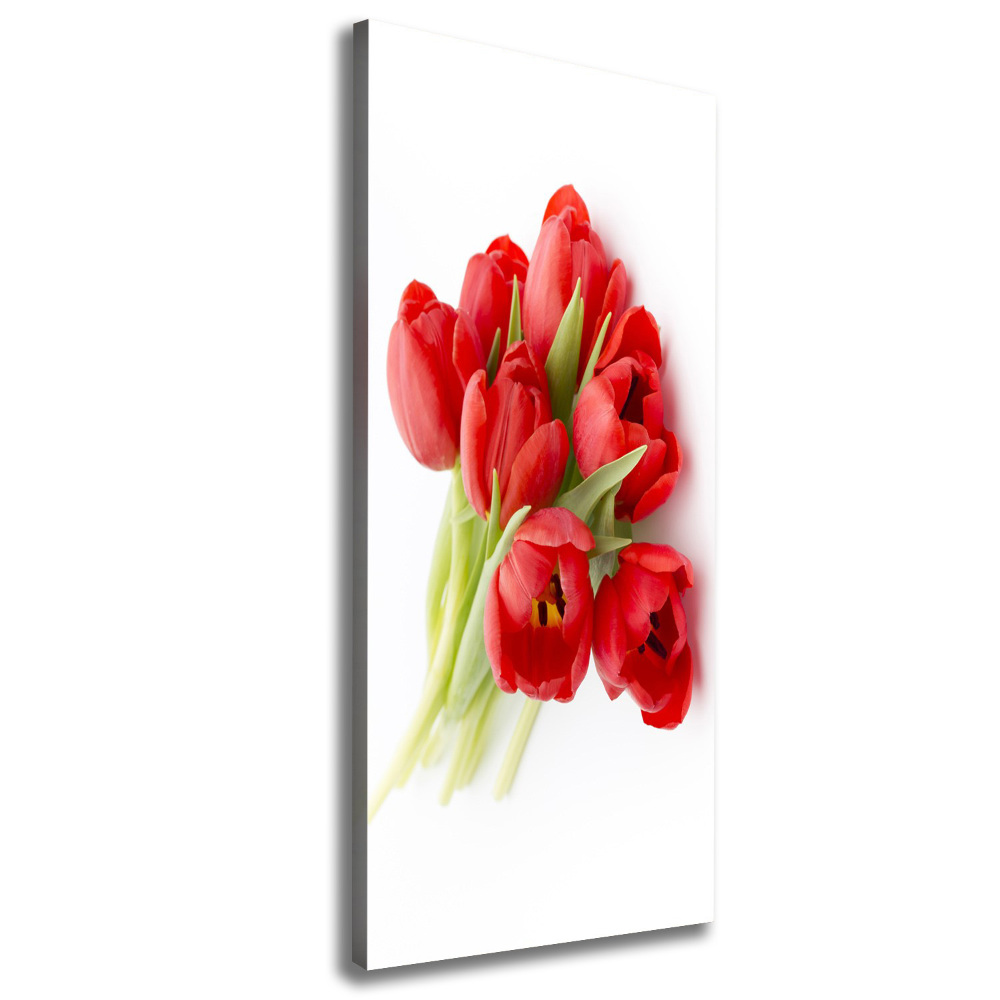 Tableau photo sur toile Tulipes rouges