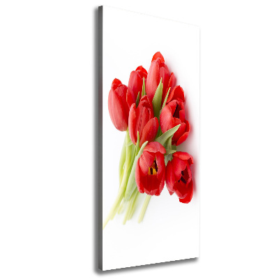 Tableau photo sur toile Tulipes rouges