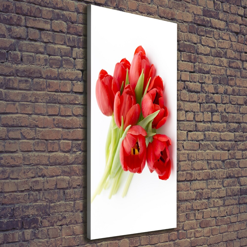 Tableau photo sur toile Tulipes rouges