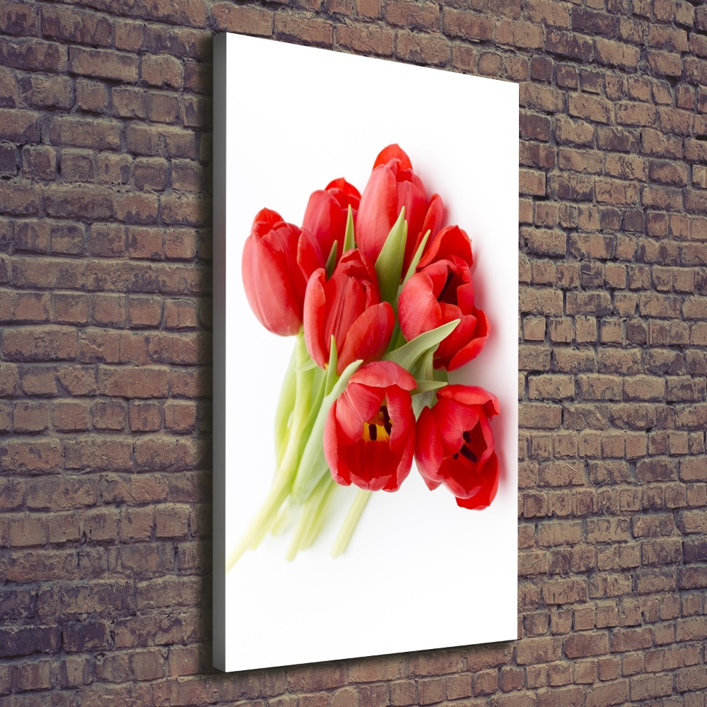 Tableau photo sur toile Tulipes rouges