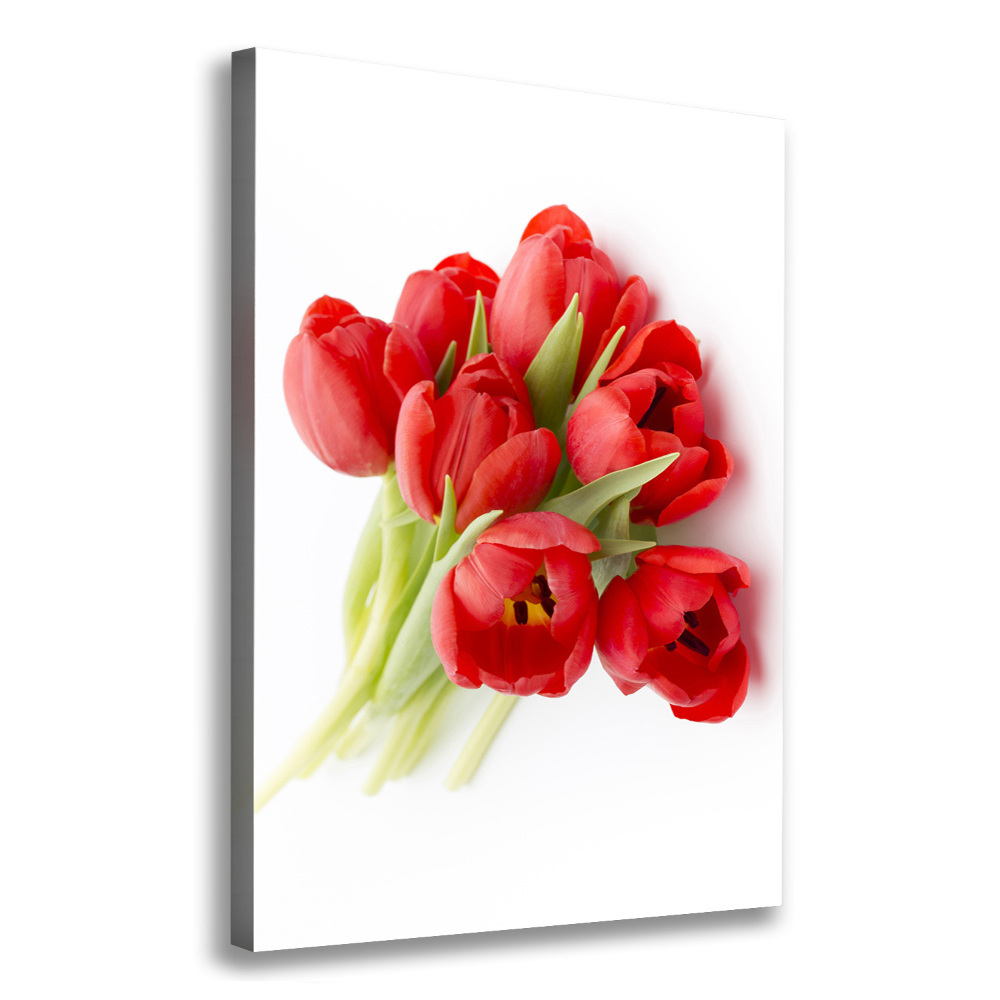 Tableau photo sur toile Tulipes rouges