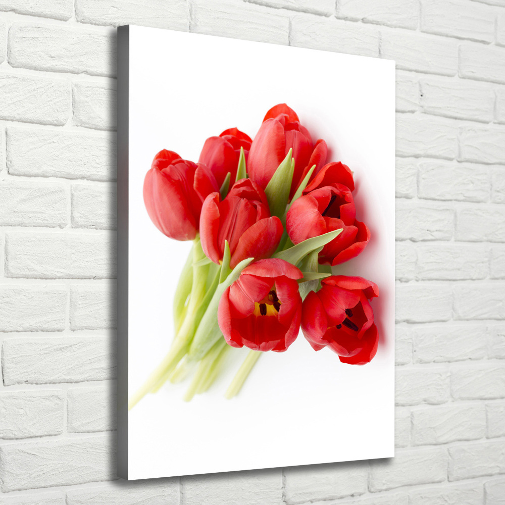 Tableau photo sur toile Tulipes rouges