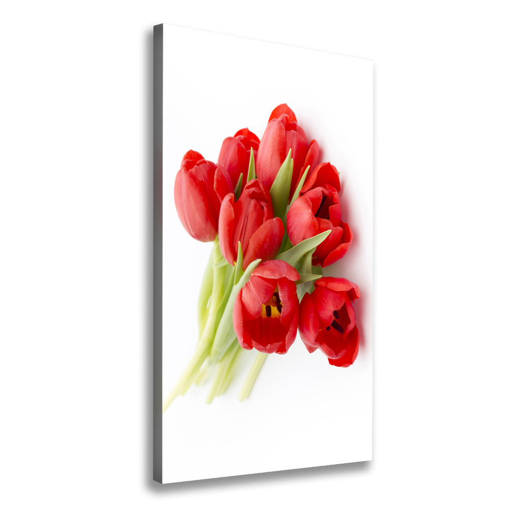 Tableau photo sur toile Tulipes rouges