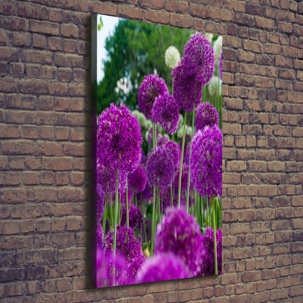 Tableau mural sur toile Fleurs d'ail