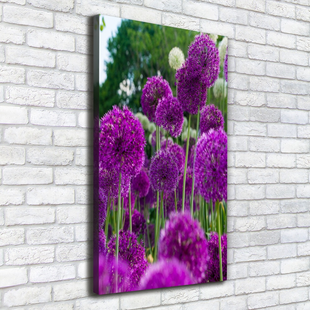 Tableau mural sur toile Fleurs d'ail