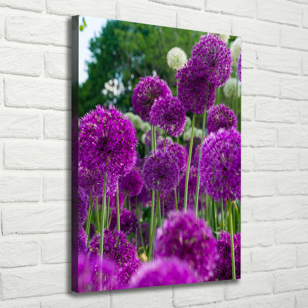 Tableau mural sur toile Fleurs d'ail