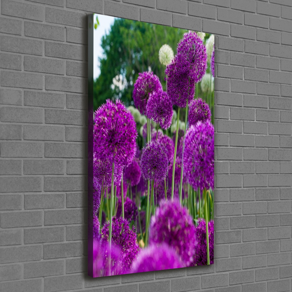 Tableau mural sur toile Fleurs d'ail