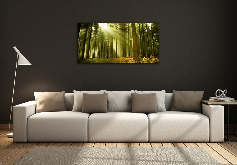 Tableau photo sur verre Forêt de pins