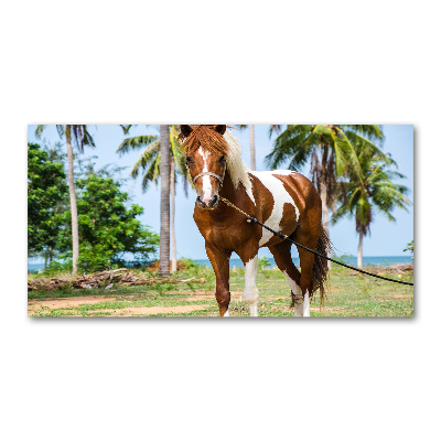 Tableau imprimé sur verre Cheval latin