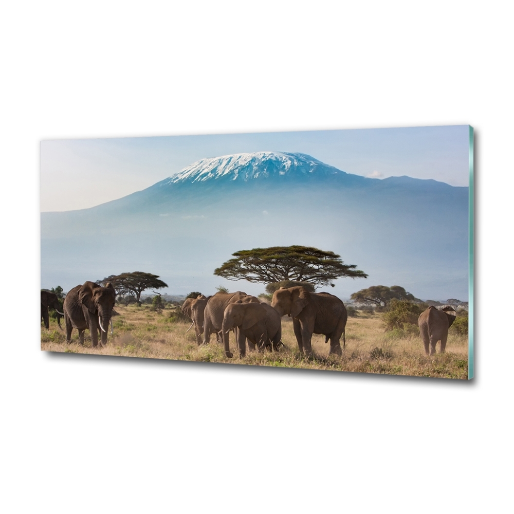 Tableau photo sur verre Eléphants du Kilimandjaro