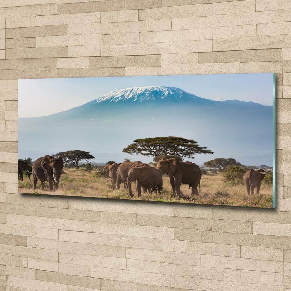 Tableau photo sur verre Eléphants du Kilimandjaro