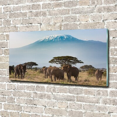 Tableau photo sur verre Eléphants du Kilimandjaro