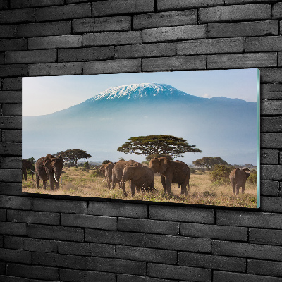 Tableau photo sur verre Eléphants du Kilimandjaro