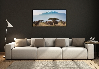 Tableau photo sur verre Eléphants du Kilimandjaro