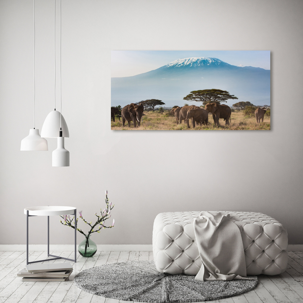 Tableau photo sur verre Eléphants du Kilimandjaro