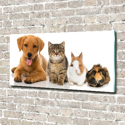 Tableau sur verre Chien et chat