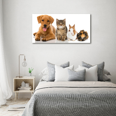 Tableau sur verre Chien et chat