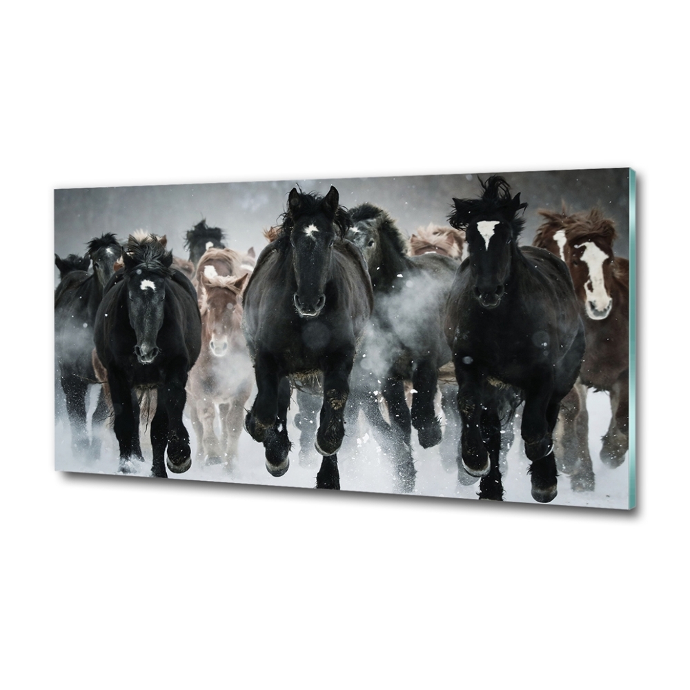 Tableau sur verre Chevaux au galop