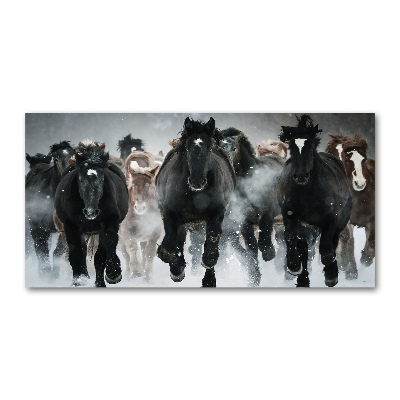 Tableau sur verre Chevaux au galop