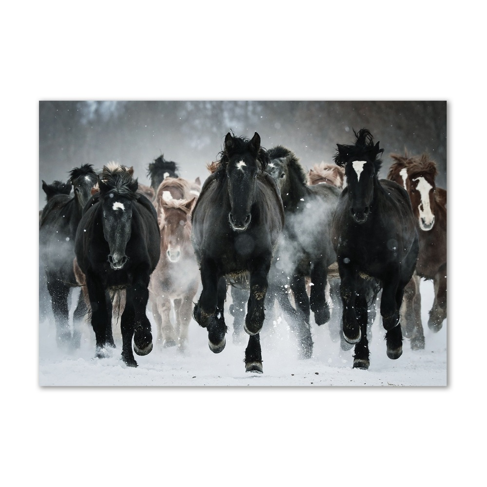 Tableau sur verre Chevaux au galop