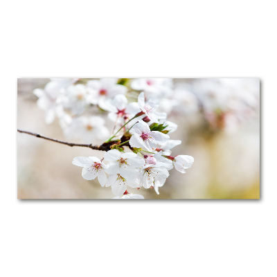 Tableau imprimé sur verre Fleurs de cerisier