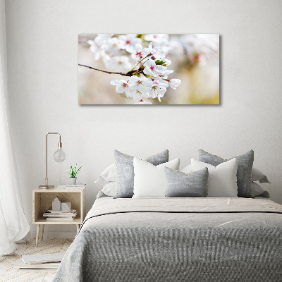 Tableau imprimé sur verre Fleurs de cerisier