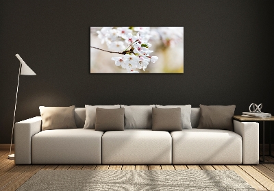 Tableau imprimé sur verre Fleurs de cerisier