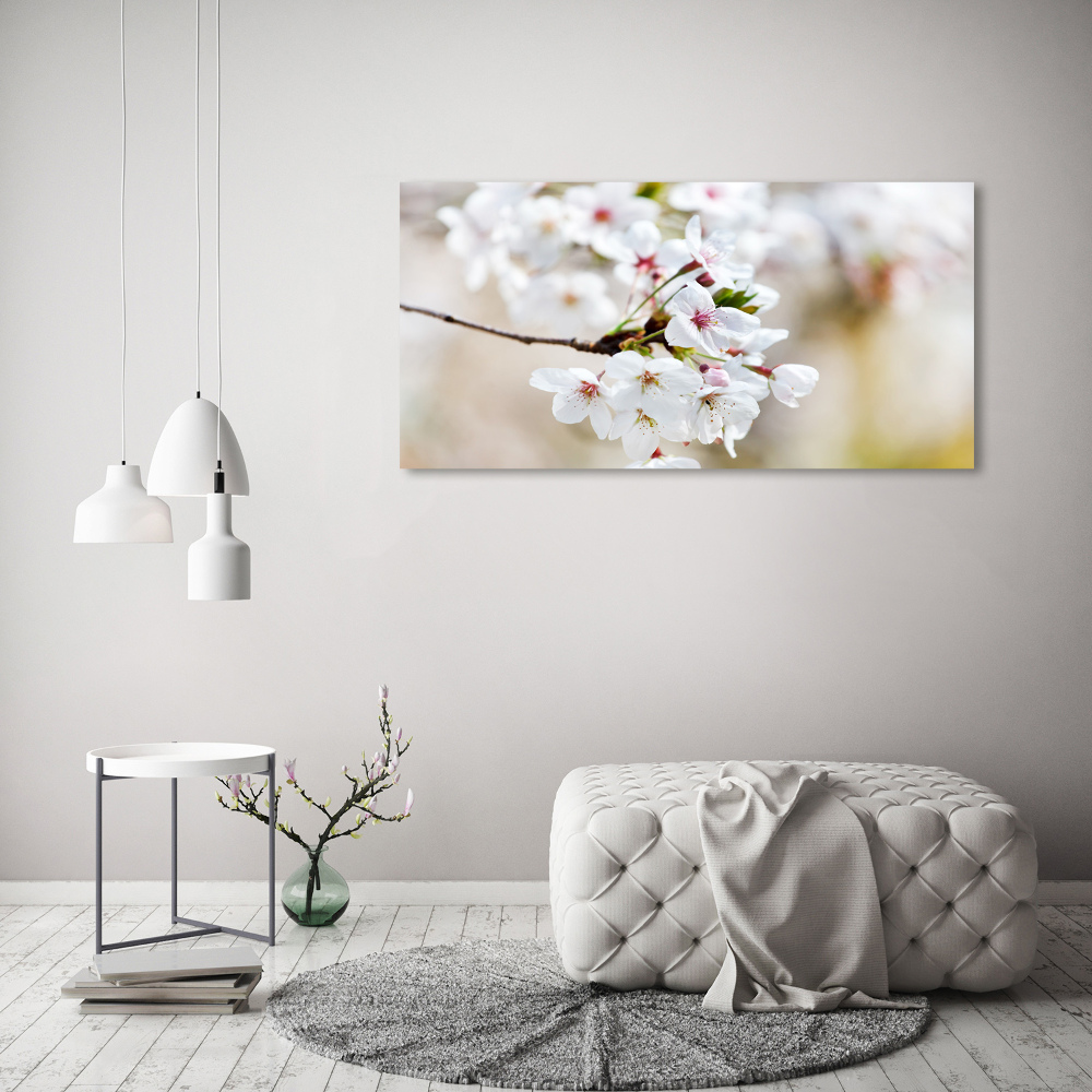 Tableau imprimé sur verre Fleurs de cerisier