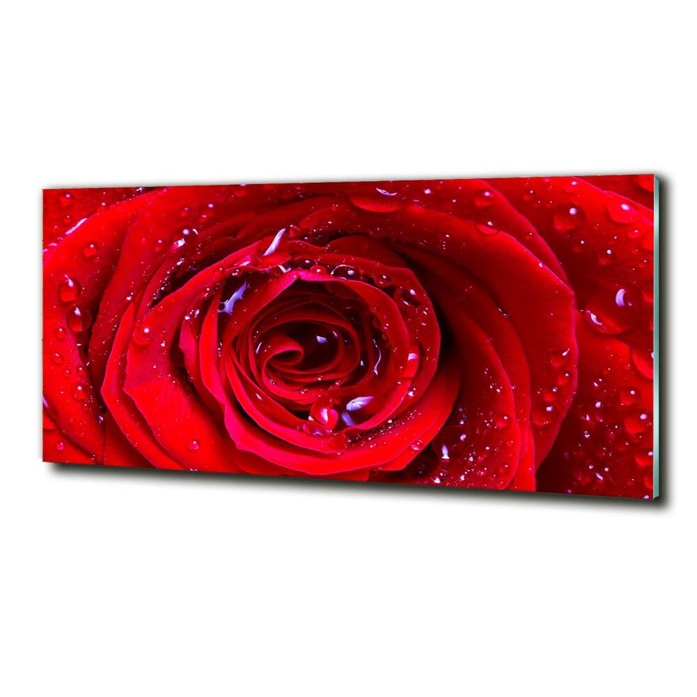 Tableau en verre Fleur de rose