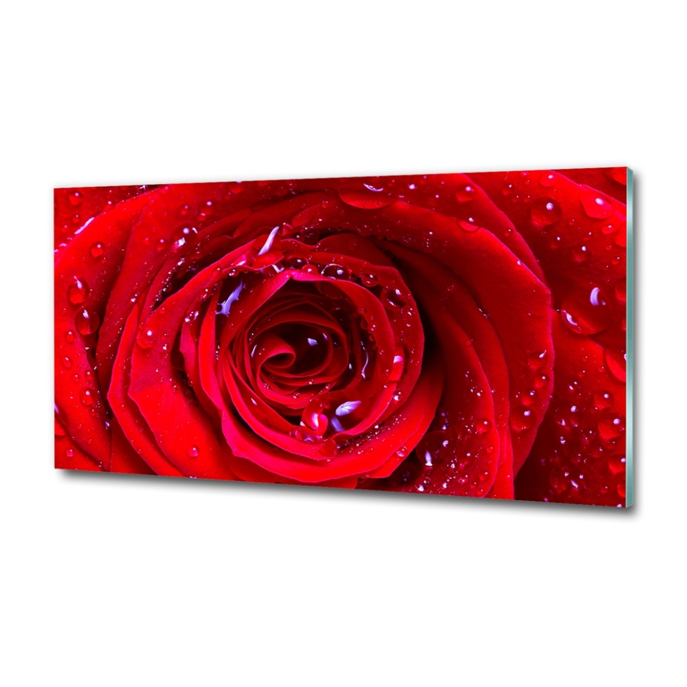 Tableau en verre Fleur de rose