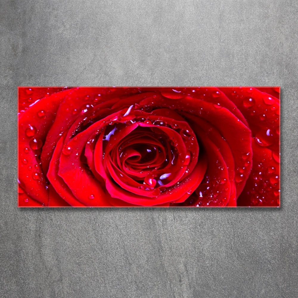 Tableau en verre Fleur de rose