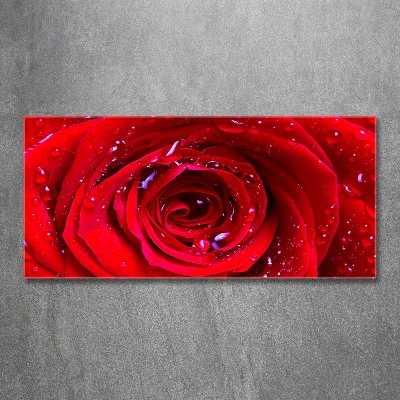 Tableau en verre Fleur de rose