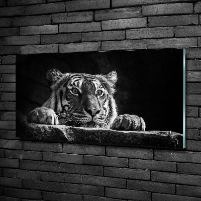 Tableau sur verre Tigre