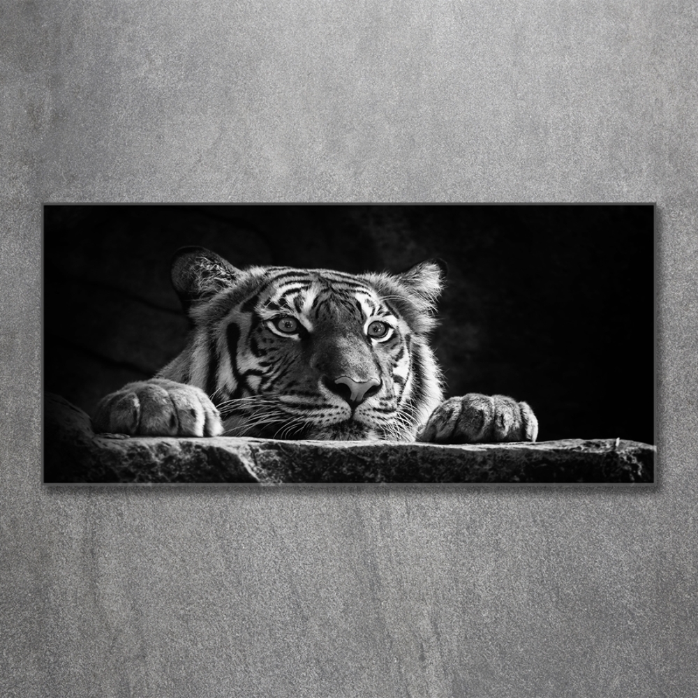 Tableau sur verre Tigre