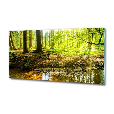 Tableau imprimé sur verre Forêt de soleil