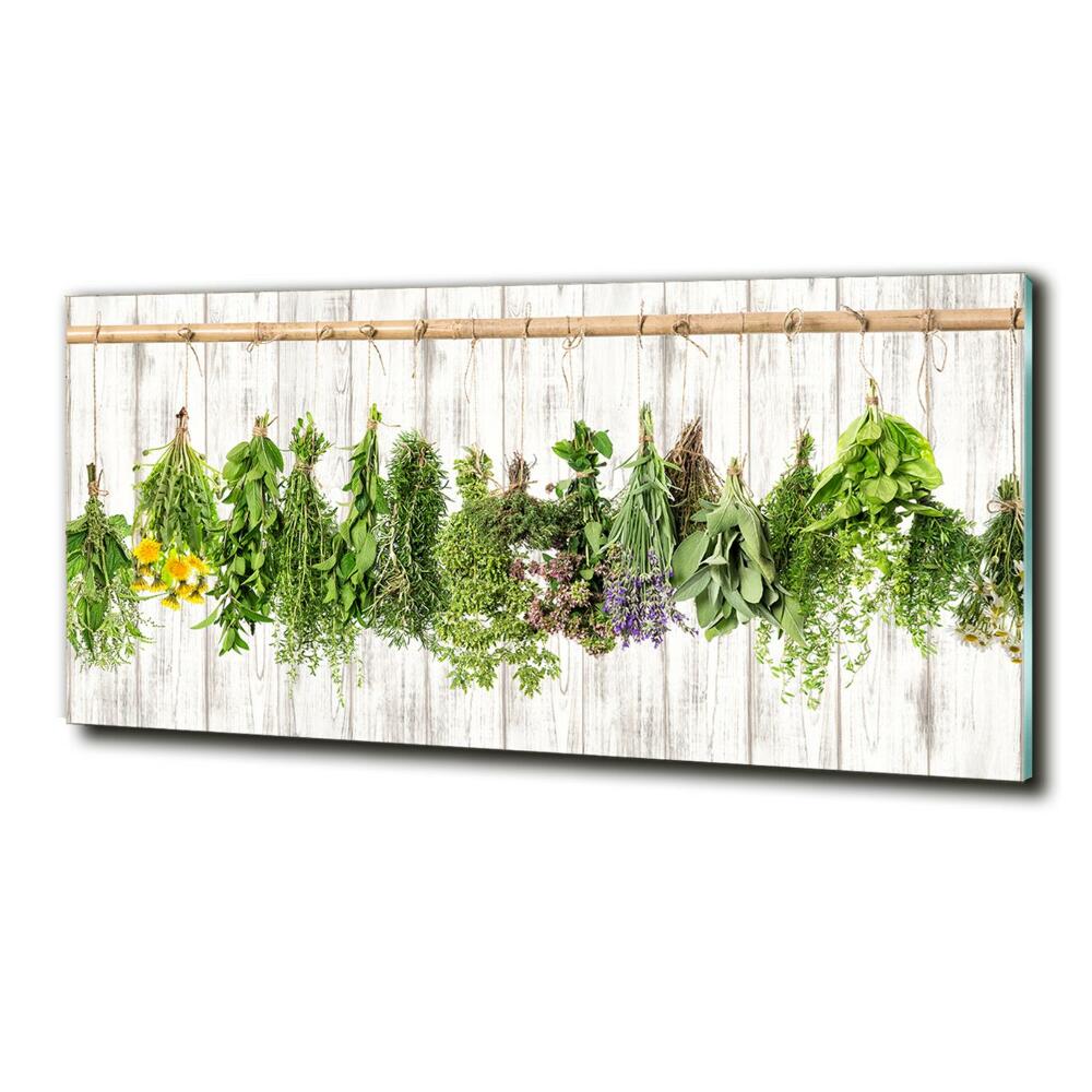 Tableau imprimé sur verre Herbes sur un fil