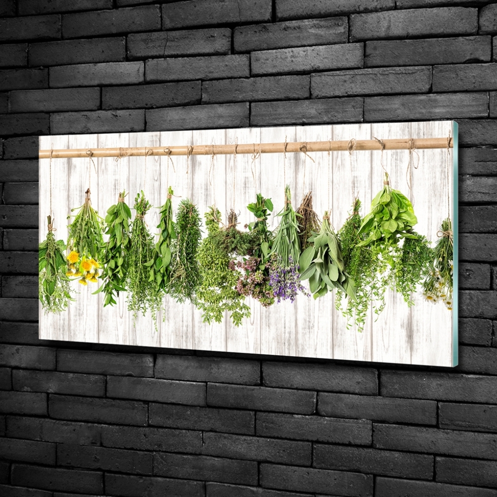 Tableau imprimé sur verre Herbes sur un fil