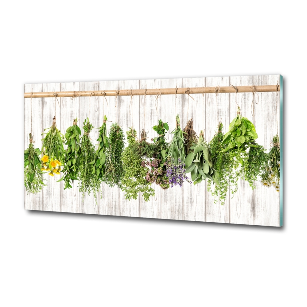 Tableau imprimé sur verre Herbes sur un fil