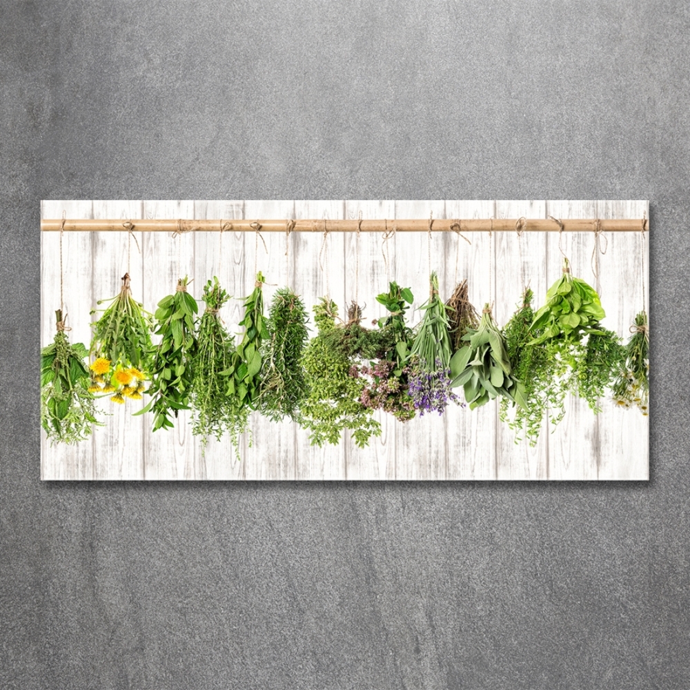 Tableau imprimé sur verre Herbes sur un fil