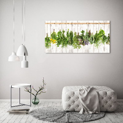 Tableau imprimé sur verre Herbes sur un fil