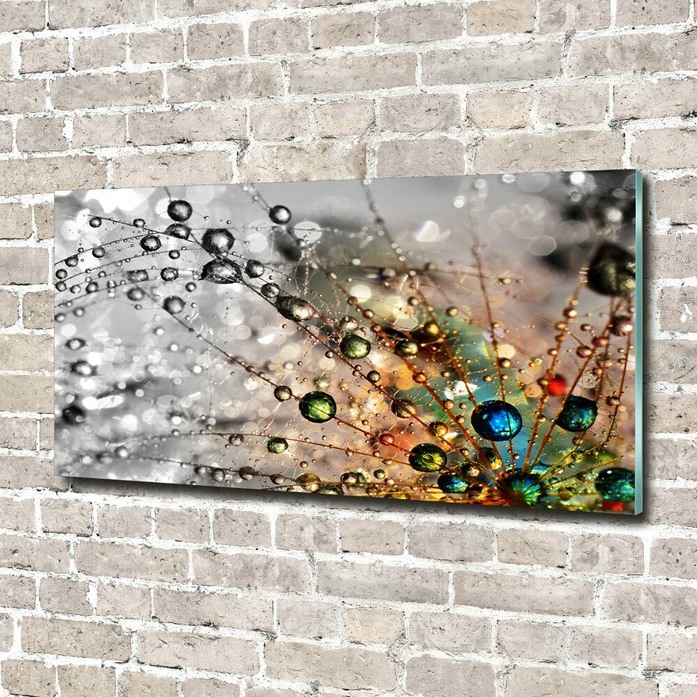 Tableau sur verre Graine de moucheron