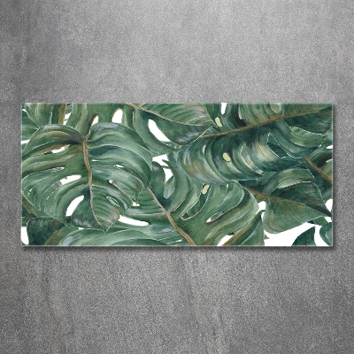 Tableau en verre Monstera